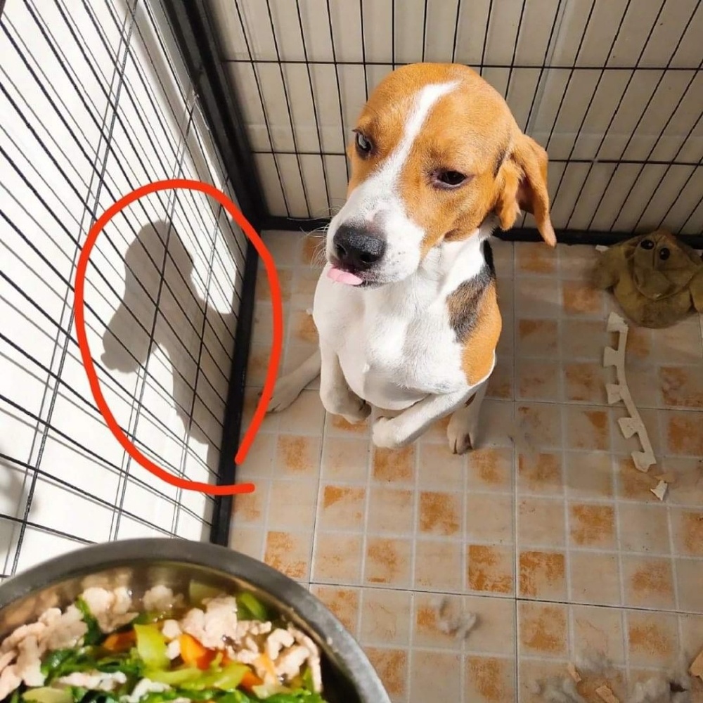 Meet your Posher, Charmi